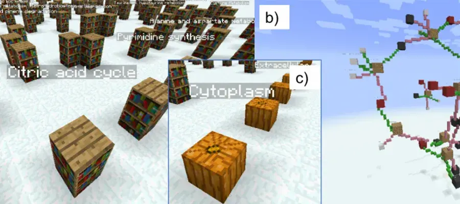 Burgess-Software-MetaboCraft