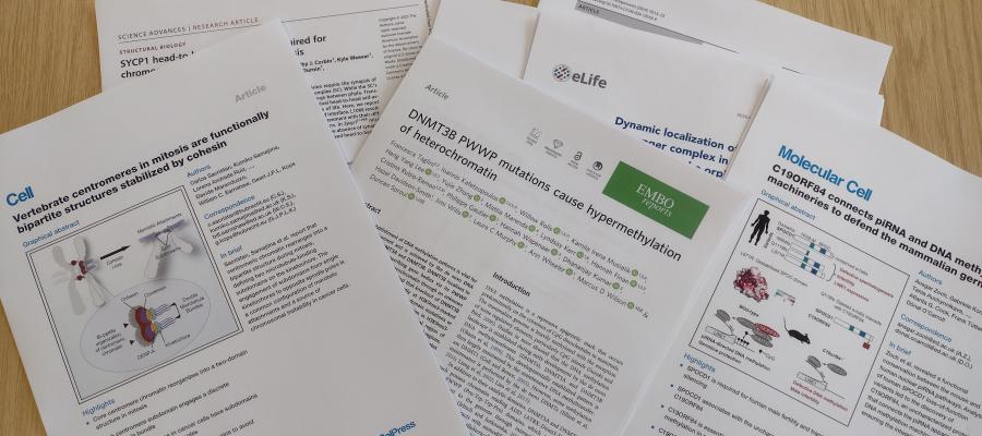 pile of scientific papers