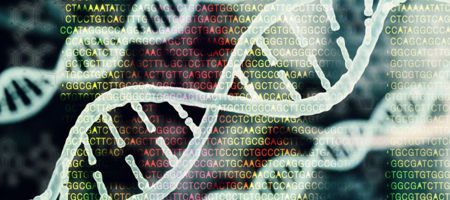 image of DNA structure and sequence