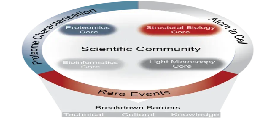 summary diagram of the 4 DRP cores