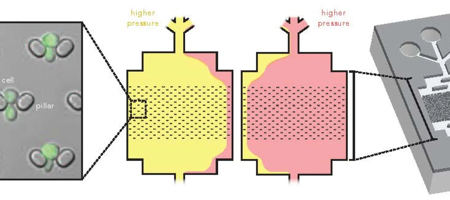Microfluidics workflow