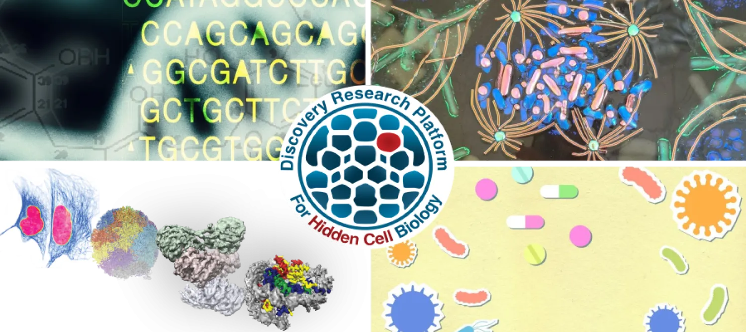 Themes of CCBio