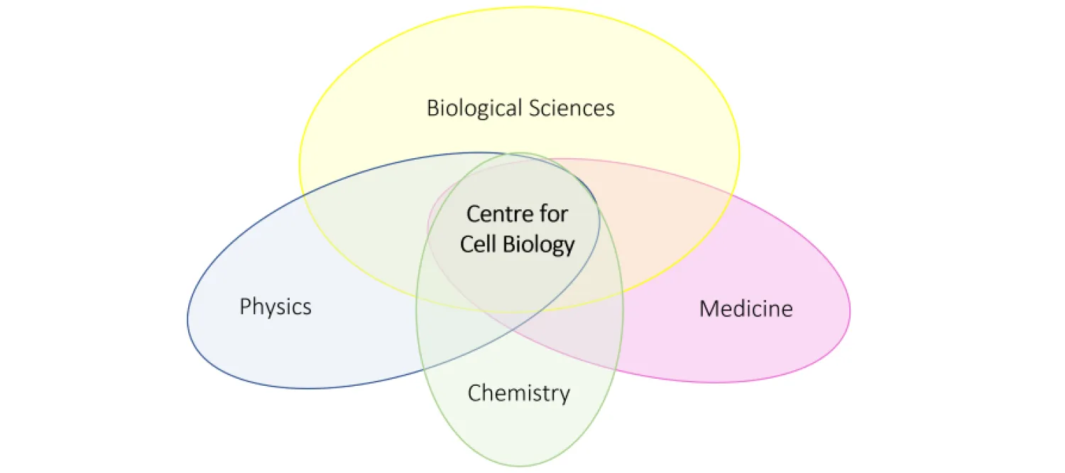 Venn Diagram of researchers in the CCBio