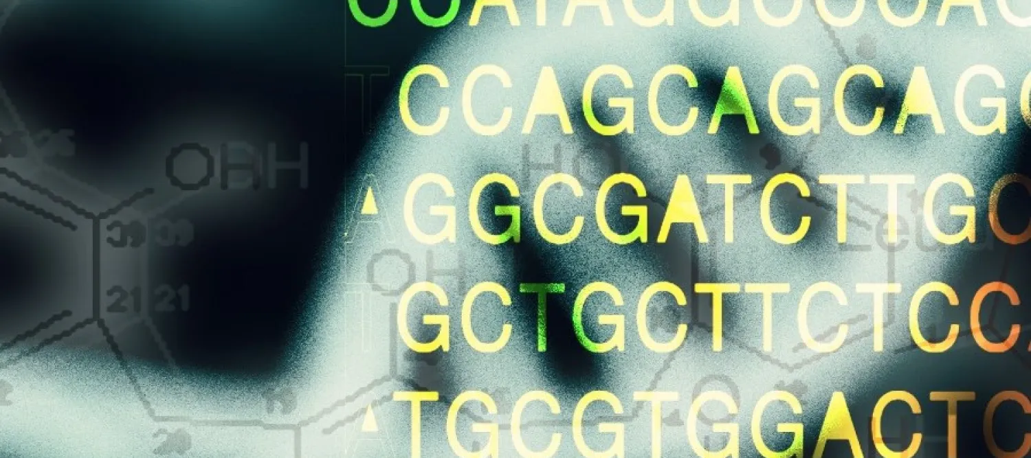 Image at dna structure and bases