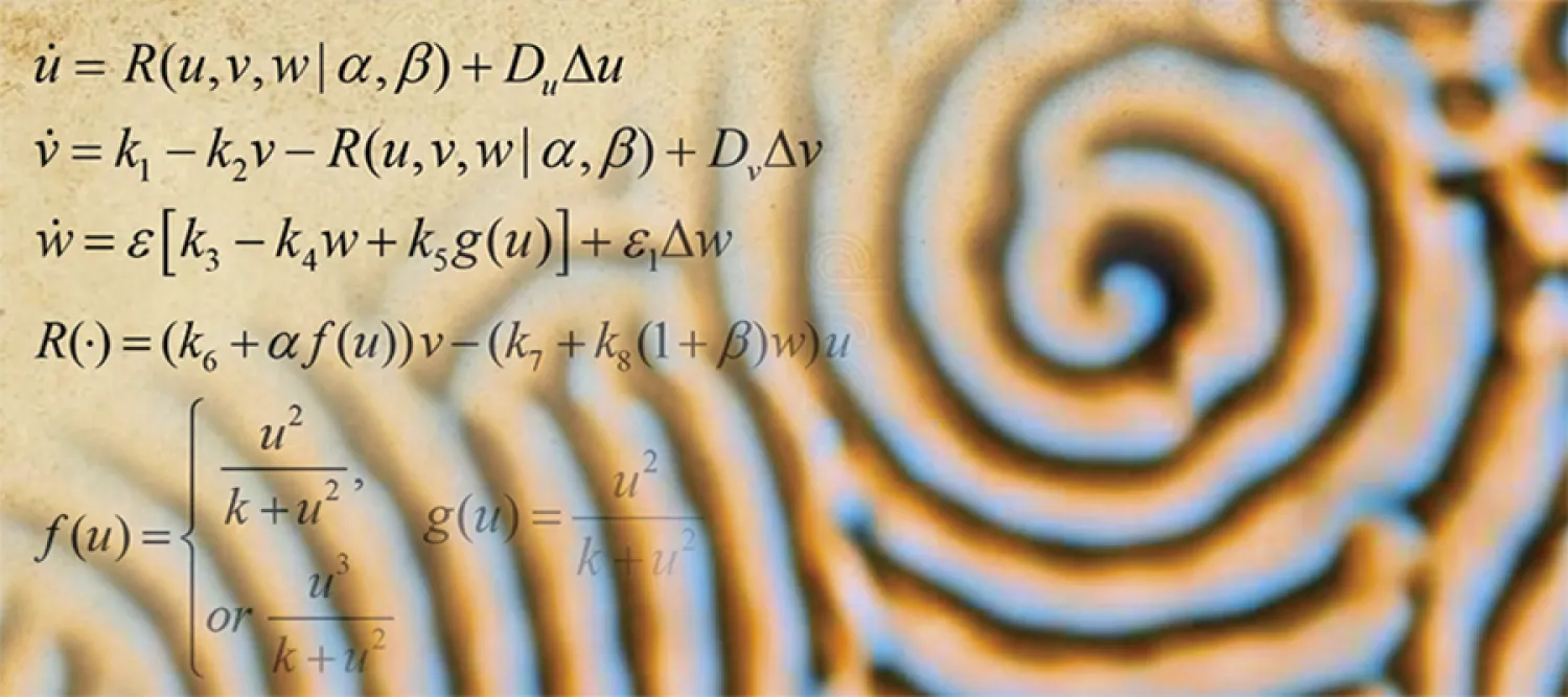 mathematical equations and microridge pattern