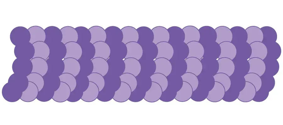 Microtubule past