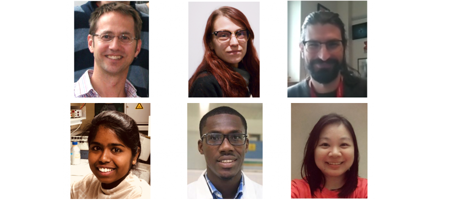 Heun lab people overview