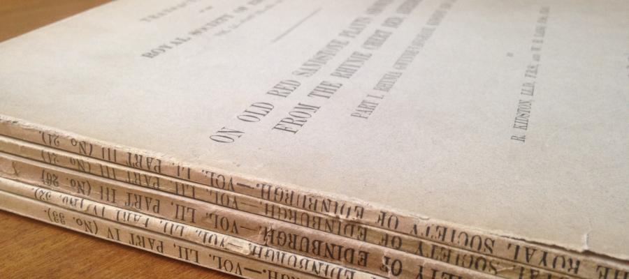 Rhynie_papers