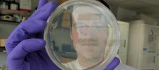Member of Chris French Lab holding a petri dish