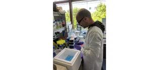 Athan Malamos working with test tubes in a water bath.