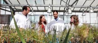 biological_sciences_glasshouses_provide_plant_growth_facilities