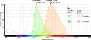 Schematic from Duedu and French 2017 article titled Characterisation of novel biomass degradation enzymes from the genome of Cellulomonas fimi