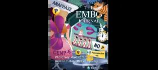 EMBO journal cover image, issue November 2023 featuring Welburn lab work
