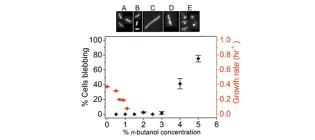 Diagram for Fletcher et al (2016) - see text for article link.