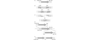 Diagram for French (2009) - see text for article link.