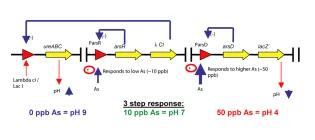 Diagram for French (2007) - see text for article link.
