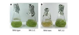 Diagram of Hannink et al (2021) - see text for article link.