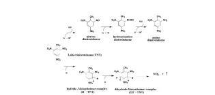 Diagram for Hannink et al (2003) - see text for article link.