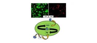 Diagram for Joshi et al (2015) - see text for article link.