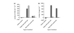 Diagram for Lakhundi et al (2016) - see text for article link.