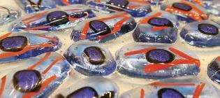 Sculpted glass made to look like cells in blue, purple and orange