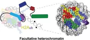 Wilson Image Nov 2024