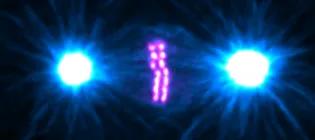 Earnshaw Lab October 2024