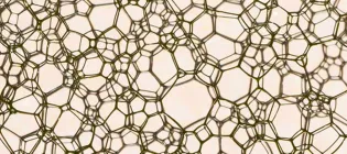 WallaceLab-Synthetic-Biology-Chemistry-Slide