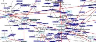 Burgess-Publication-Slide