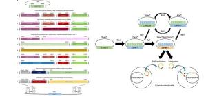 McCormick-CyanoGate-Slide