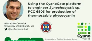 McCormick-Cyanoworld-Icon