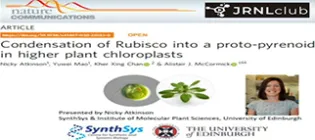 McCormick-Rubisco-Icon