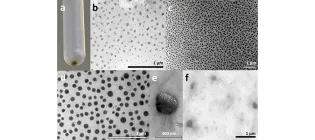 Paper-Now-Published