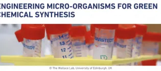 WallaceLab-Engineering-Green-Chemical-Synthesis