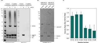 Akiyoshi Paper Jan 2025