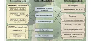 Molnar-Virology-Icon
