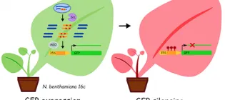 Monlar- Nucleic-Acid-Icon