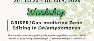 Poster-Chlamydomonas-workshop-Icon