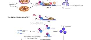 Granneman Image July 2024 v2