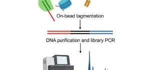 Allshire Image Nov 2024 v2
