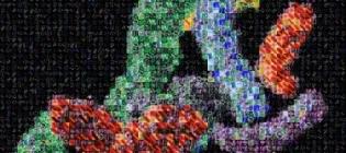 Earnshaw Image April 2025 v2