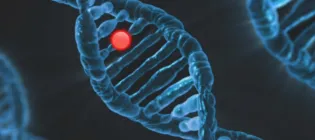 DNA helix