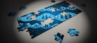 Photo of a jigsaw puzzle, in shades of blue, depicting DNA strands