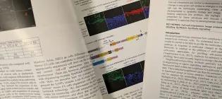 Scientific papers stacked on top of one another