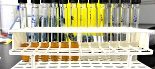 Microbial hydrogenation reaction
