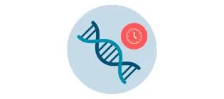 Graphic of DNA and clock symbol