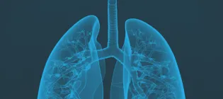 Blue lungs on a black background