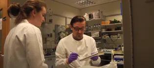 Schirmer group members