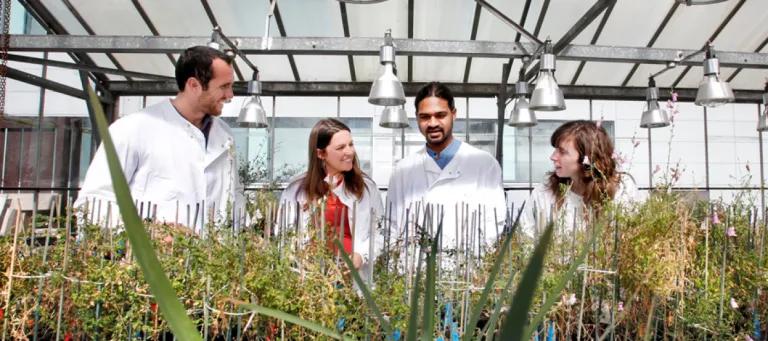 biological_sciences_glasshouses_provide_plant_growth_facilities