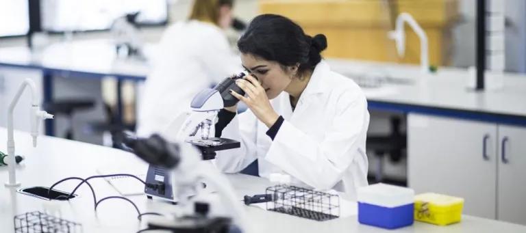 A Biomedical Science Student Looking into a Microscope in a Lab